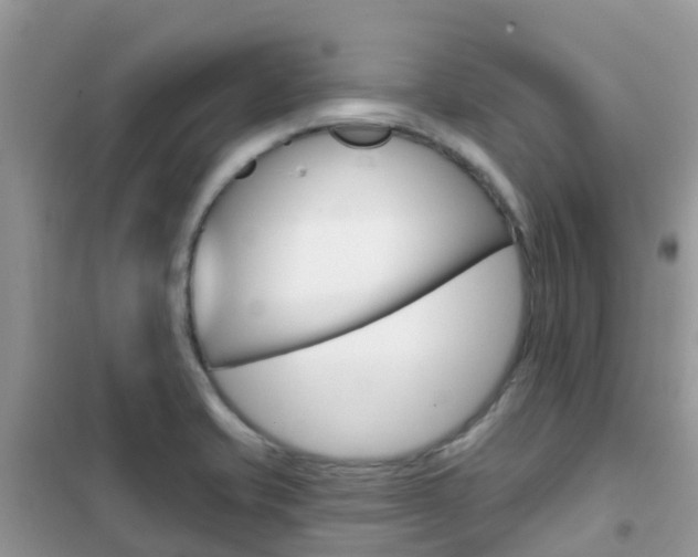 X0000102361421200808010948