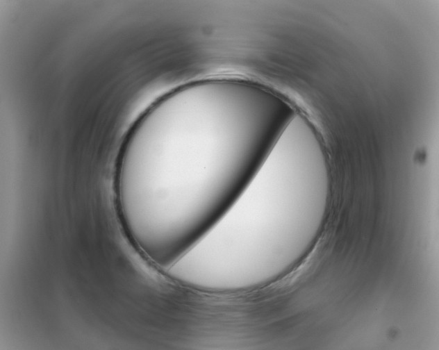 X0000102361422200808010948