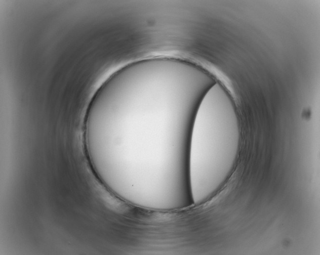 X0000102361423200808010948