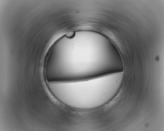 X0000102361426200808010948