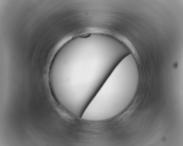 X0000102361427200808010948