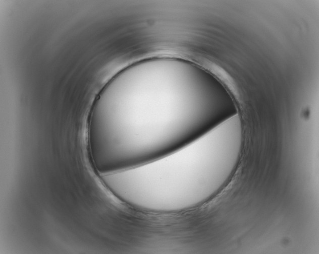 X0000102361428200808010948