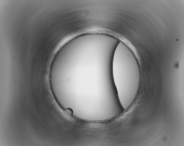 X0000102361429200808010948