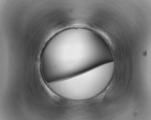 X0000102361430200808010948