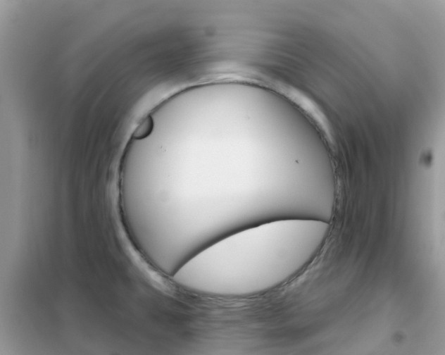 X0000102361431200808010948