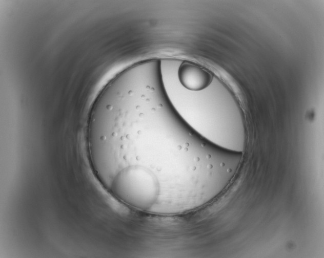 X0000102361432200808010948
