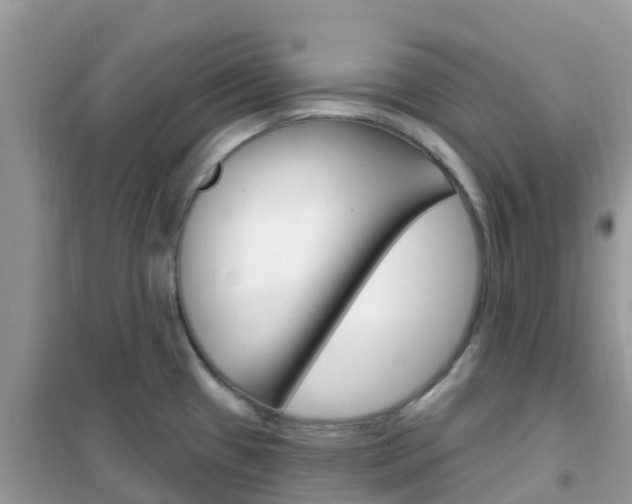 X0000102361433200808010948