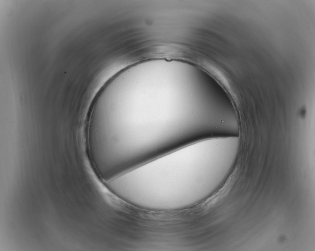X0000102361434200808010948