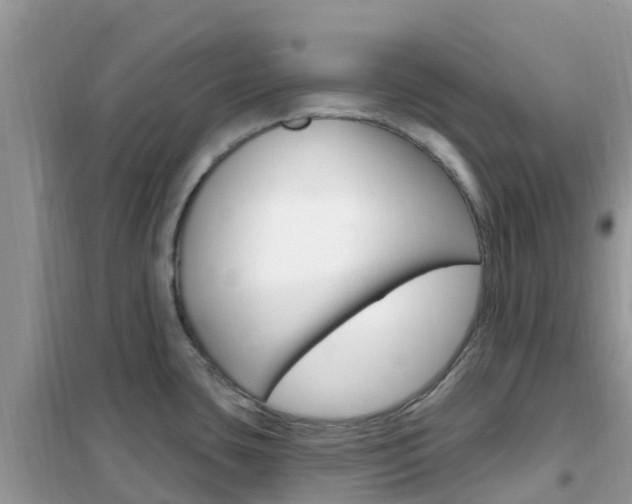 X0000102361435200808010949