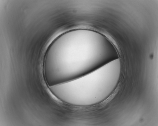 X0000102361438200808010949