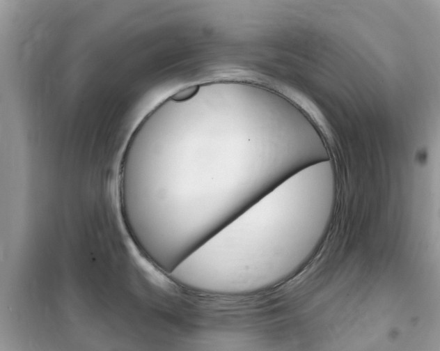 X0000102361439200808010949