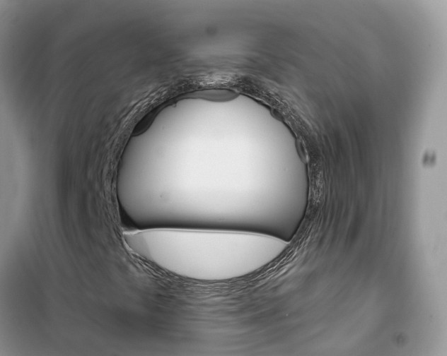 X0000102361441200808010948