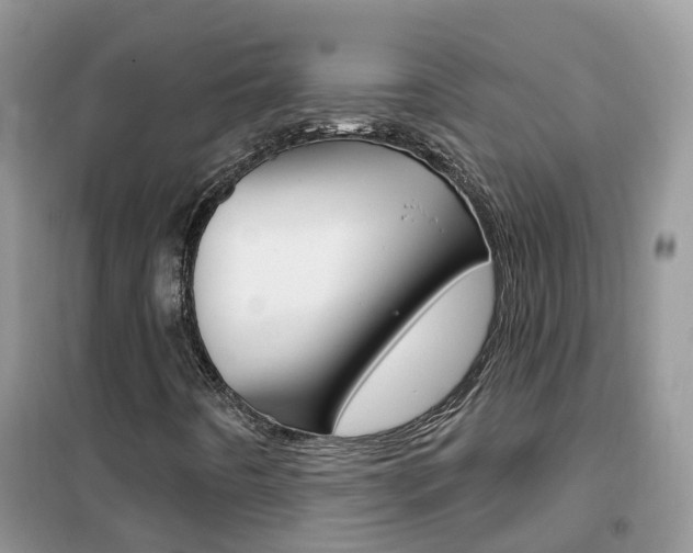 X0000102361442200808010948