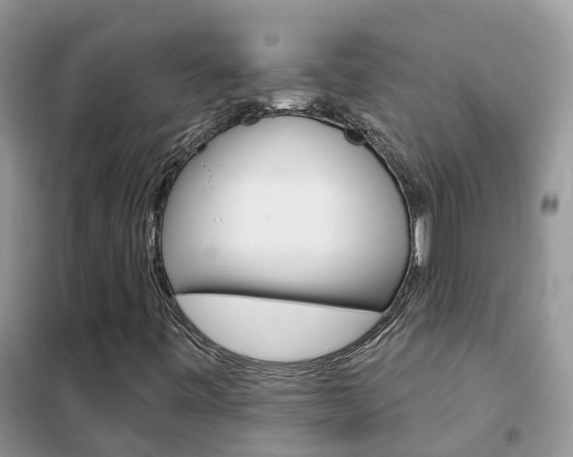 X0000102361443200808010948
