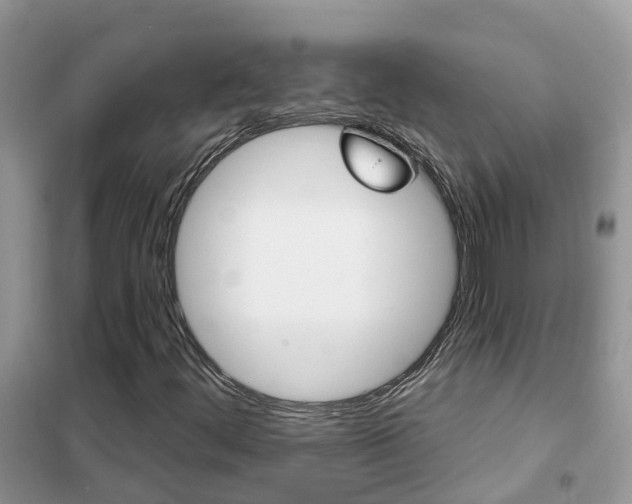 X0000102361444200808010948