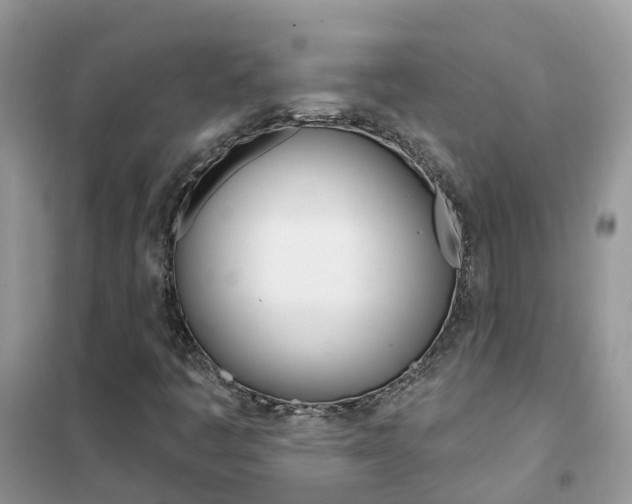 X0000102361445200808010948