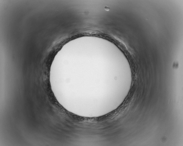 X0000102361447200808010948