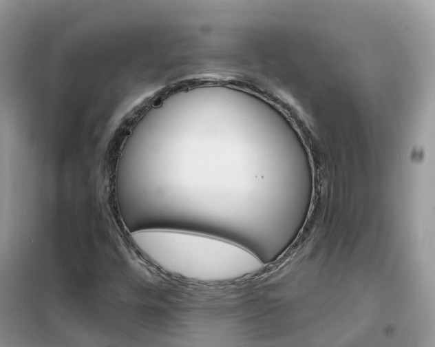 X0000102361448200808010948