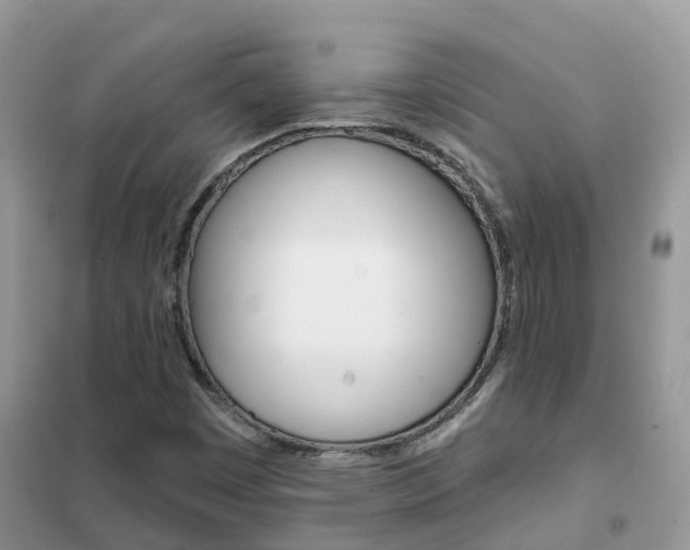 X0000102361449200808010948