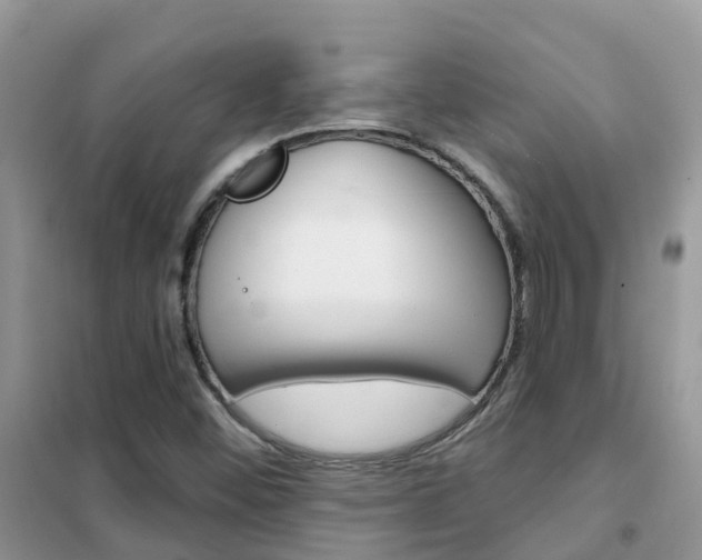 X0000102361452200808010948