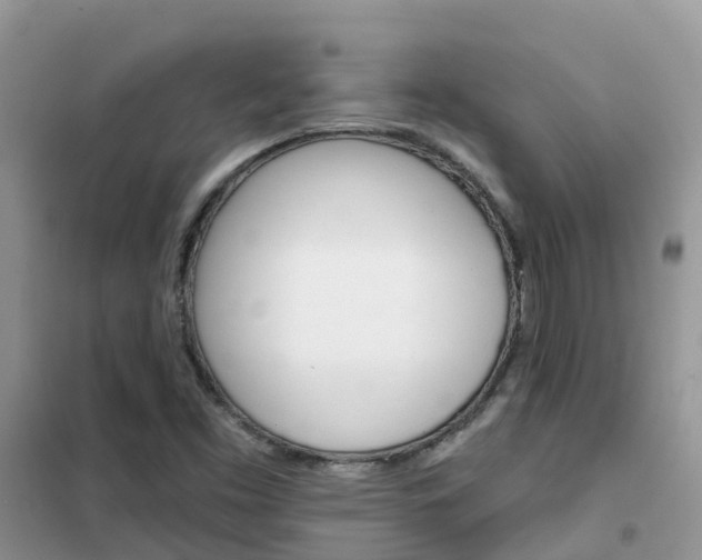 X0000102361453200808010948