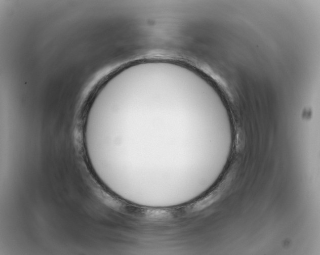 X0000102361454200808010948