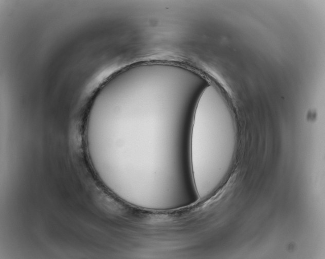 X0000102361455200808010948
