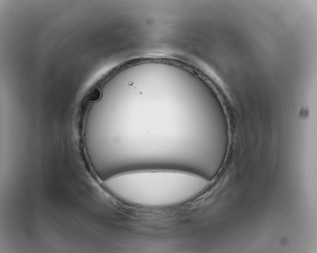 X0000102361456200808010948