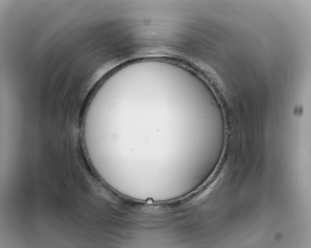 X0000102361457200808010948