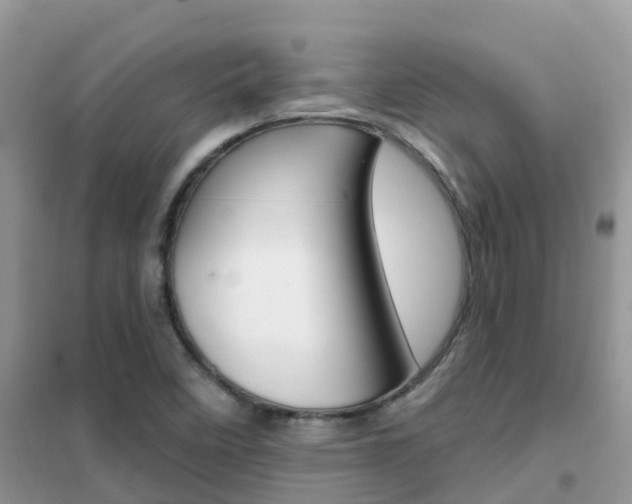 X0000102361458200808010948