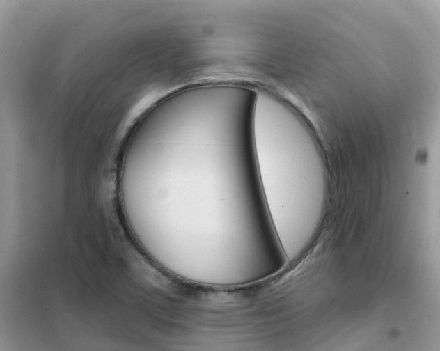 X0000102361459200808010948