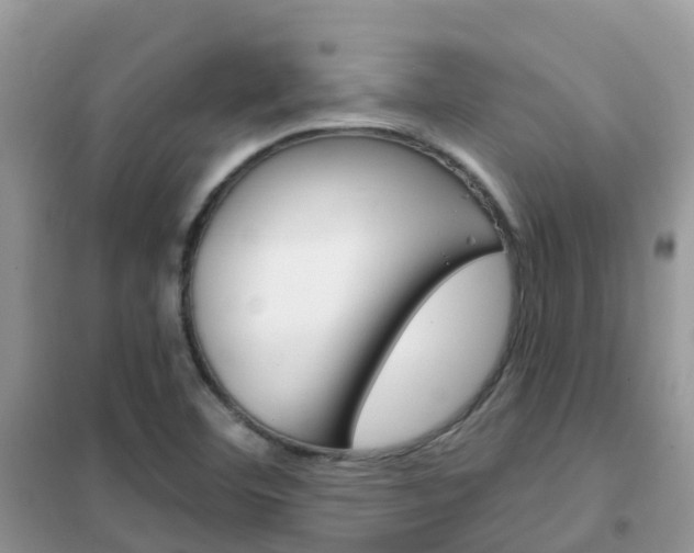 X0000102361460200808010948