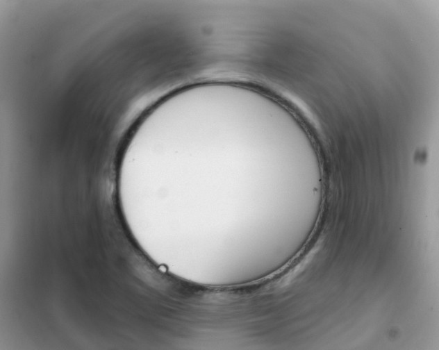 X0000102361461200808010948