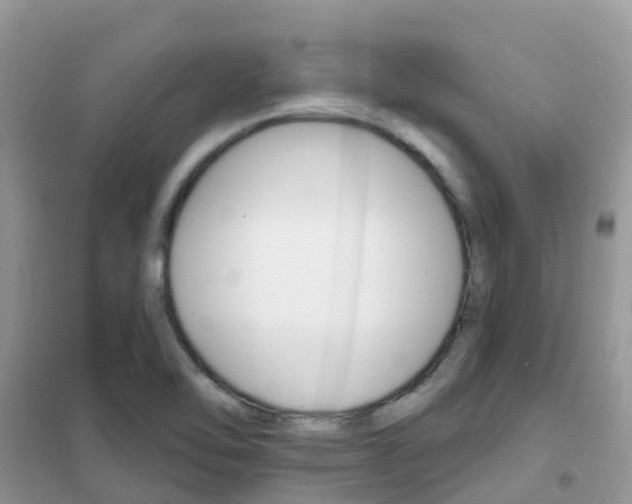 X0000102361462200808010948