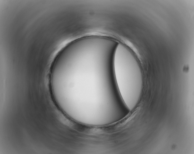 X0000102361463200808010948