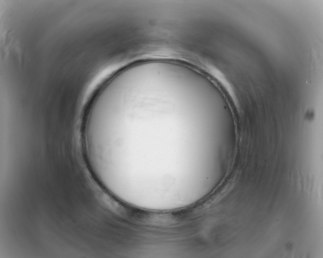 X0000102361464200808010948