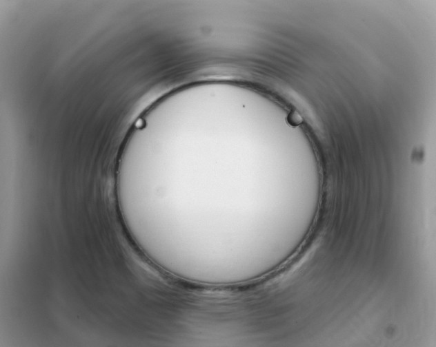 X0000102361465200808010948