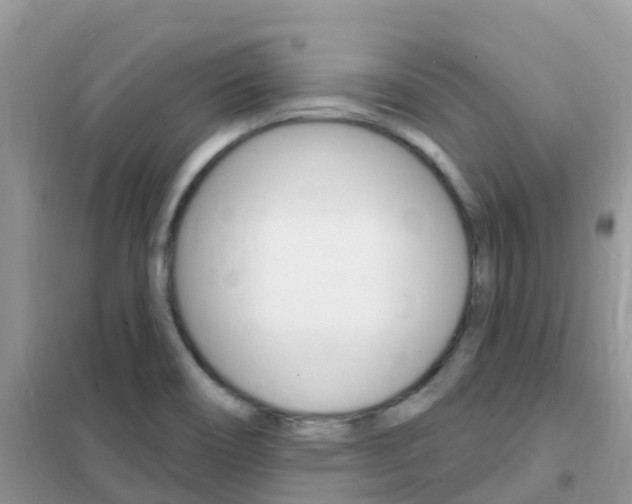 X0000102361466200808010948
