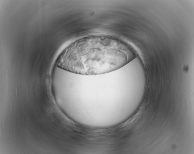 X0000102361467200808010948