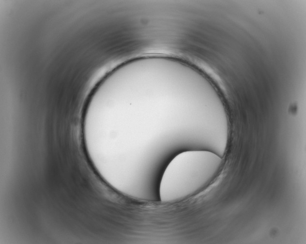 X0000102361469200808010947