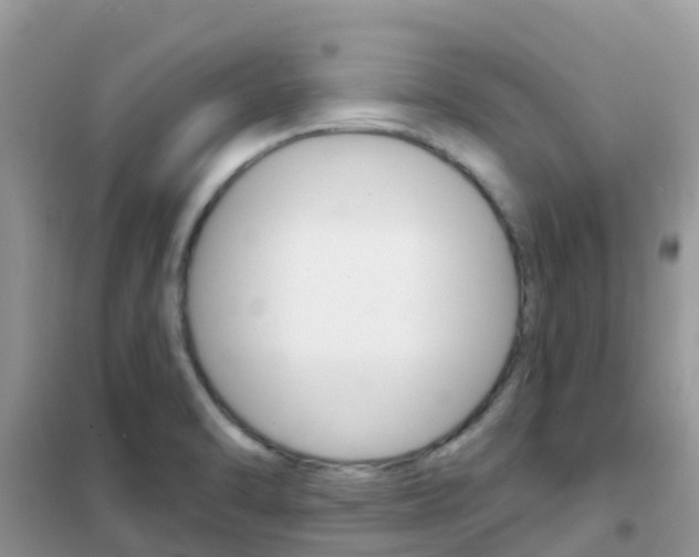 X0000102361470200808010947