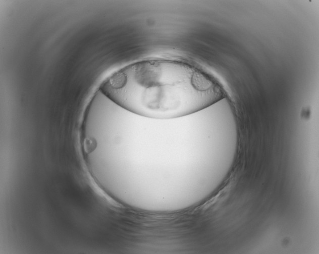 X0000102361471200808010947