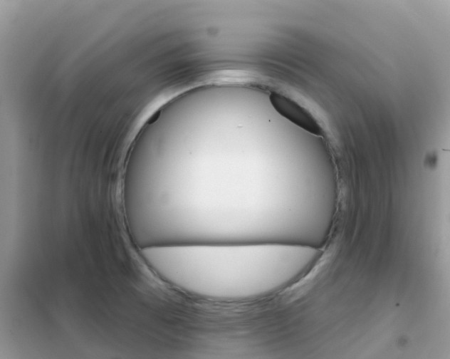 X0000102361473200808010947