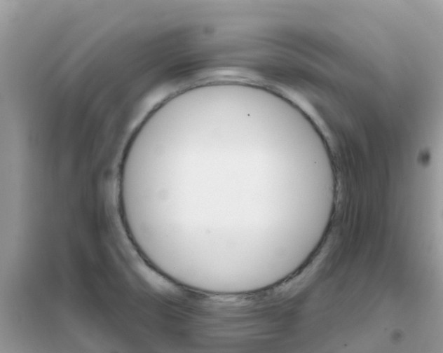 X0000102361474200808010947