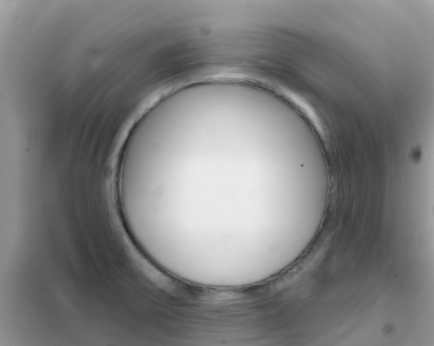 X0000102361475200808010947