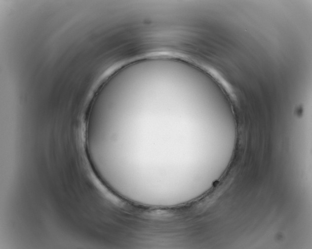 X0000102361476200808010947