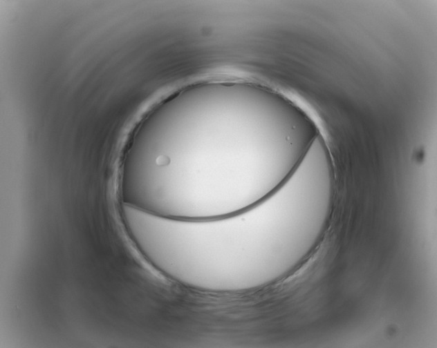 X0000102361477200808010947