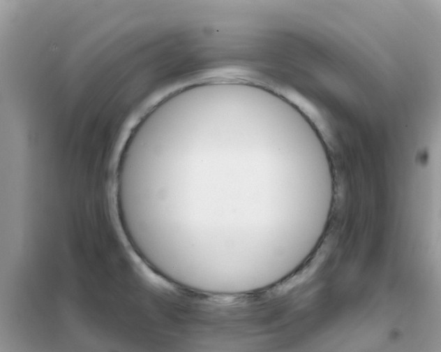 X0000102361478200808010947