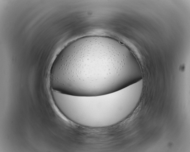 X0000102361479200808010947