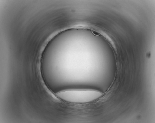 X0000102361480200808010947